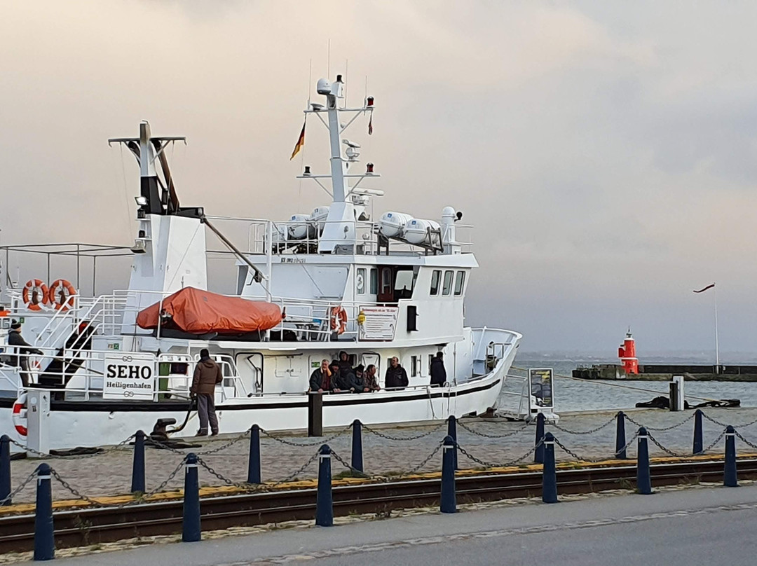 Helsingor Havn景点图片