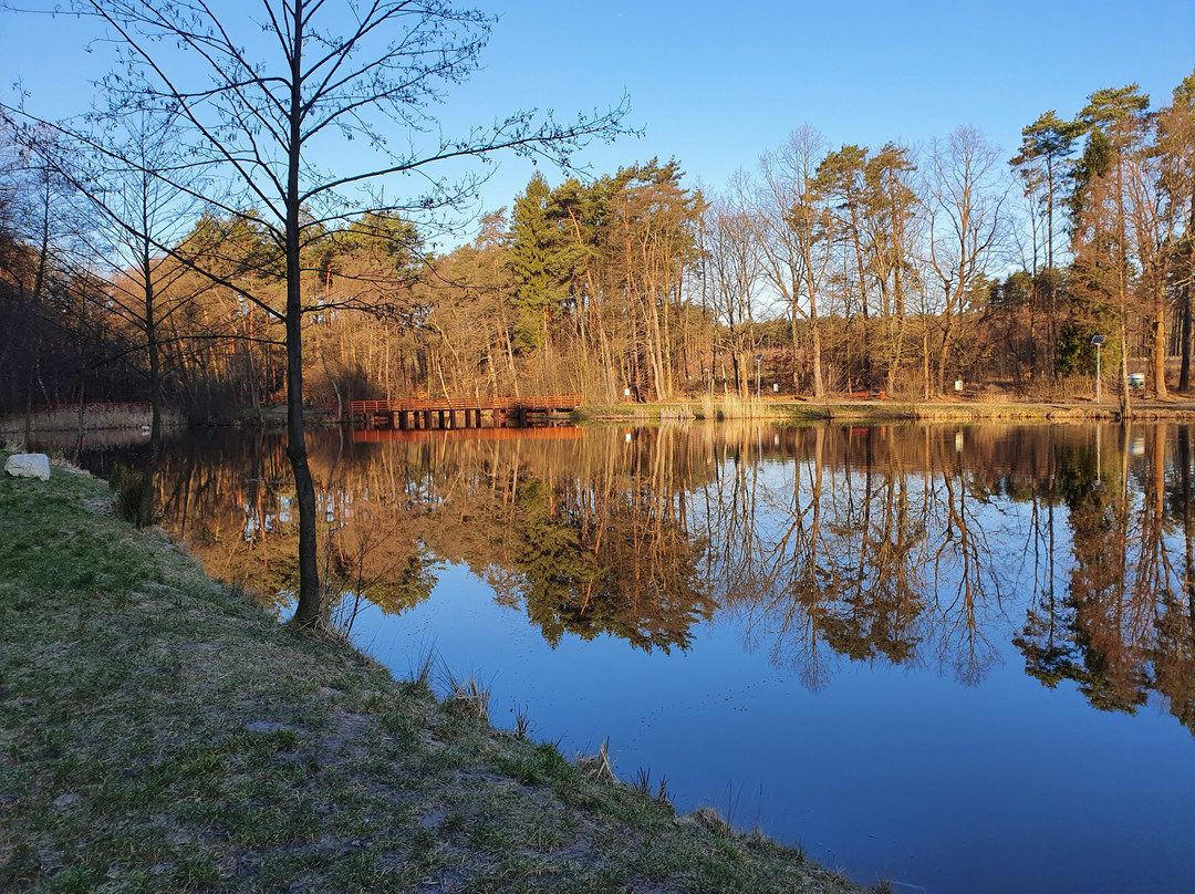 Staw Wronski-Tenczynek必去景点