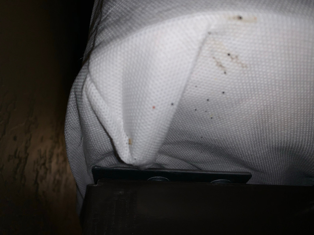 Best Western Plus Weatherford主图