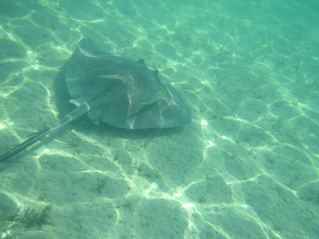 Bonefish Bradley Fishing Chartes-Andros必去景点