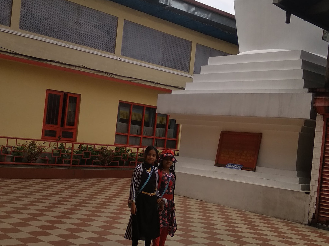 Do Drul Chorten Stupa景点图片