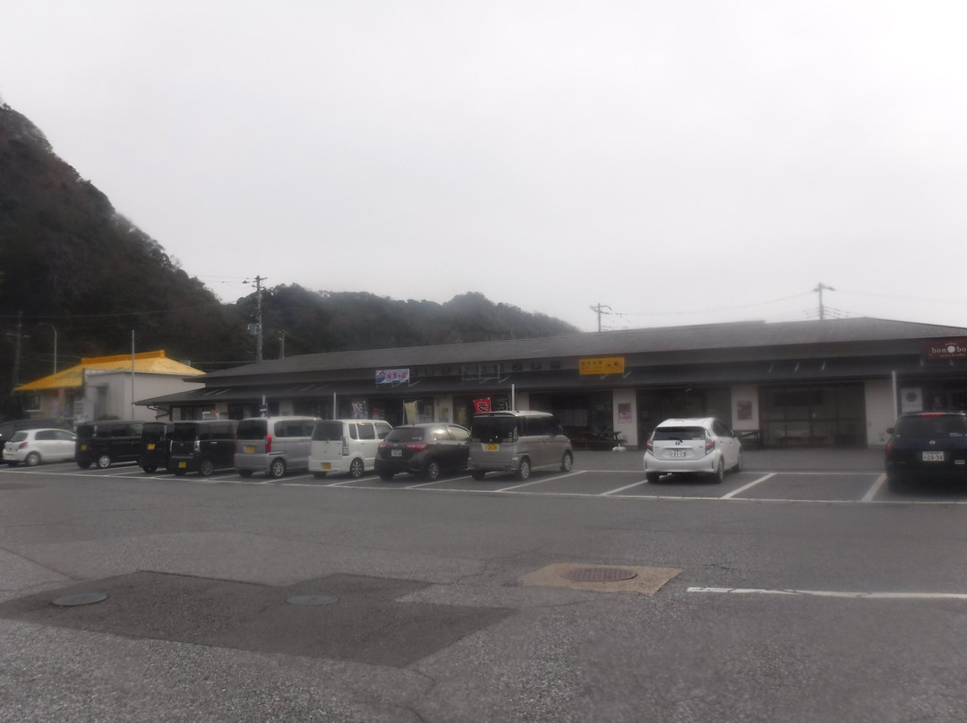 Michi-no-Eki Kyonan-锯南町必去景点