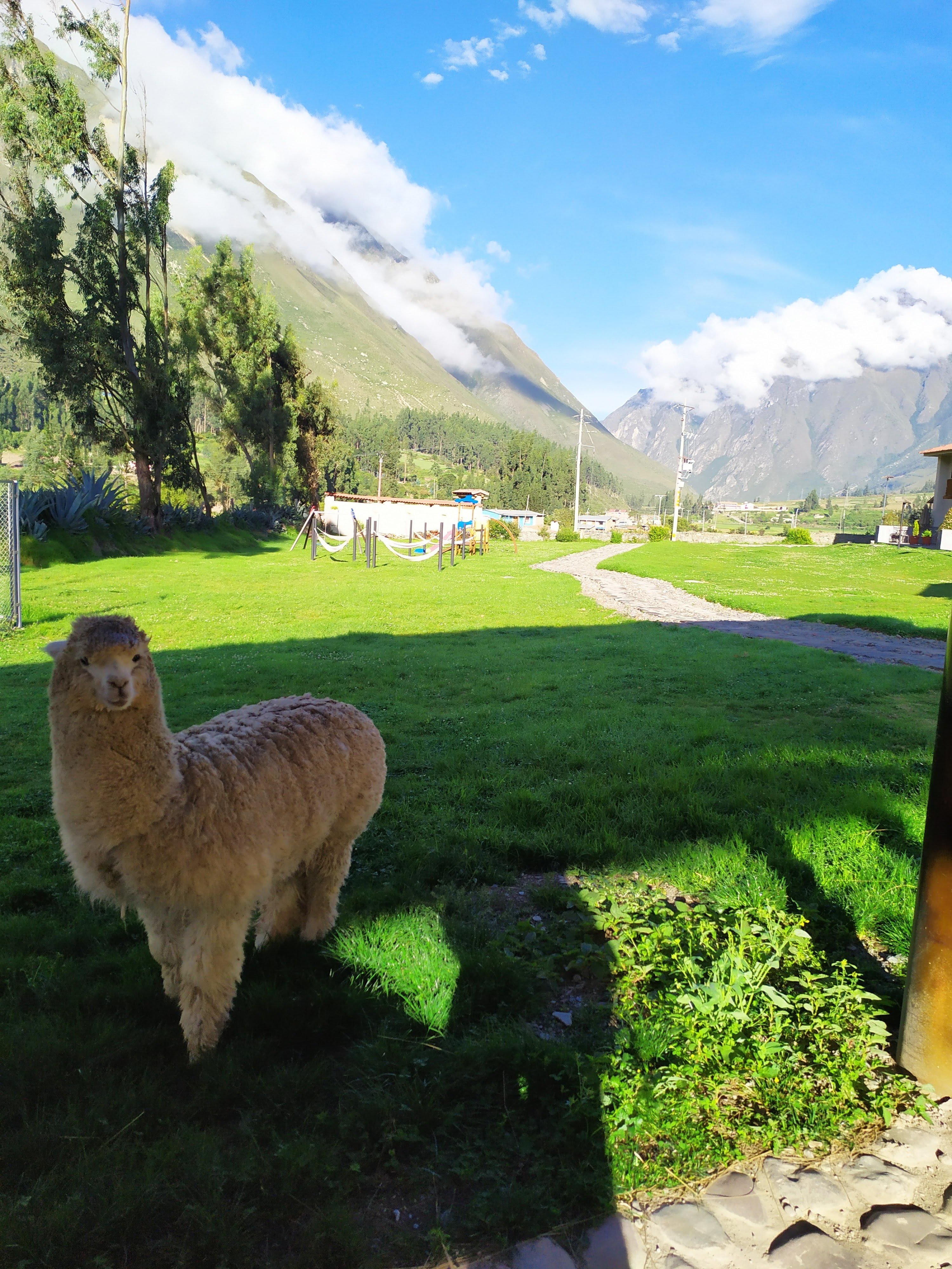 Del Pilar Ollantaytambo-浴室