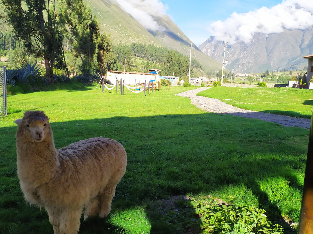 Del Pilar Ollantaytambo主图