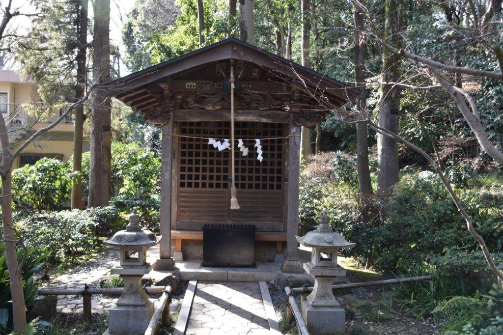 Masugata no Ike Group of Springs/Otaka no Michi-国分寺市必去景点