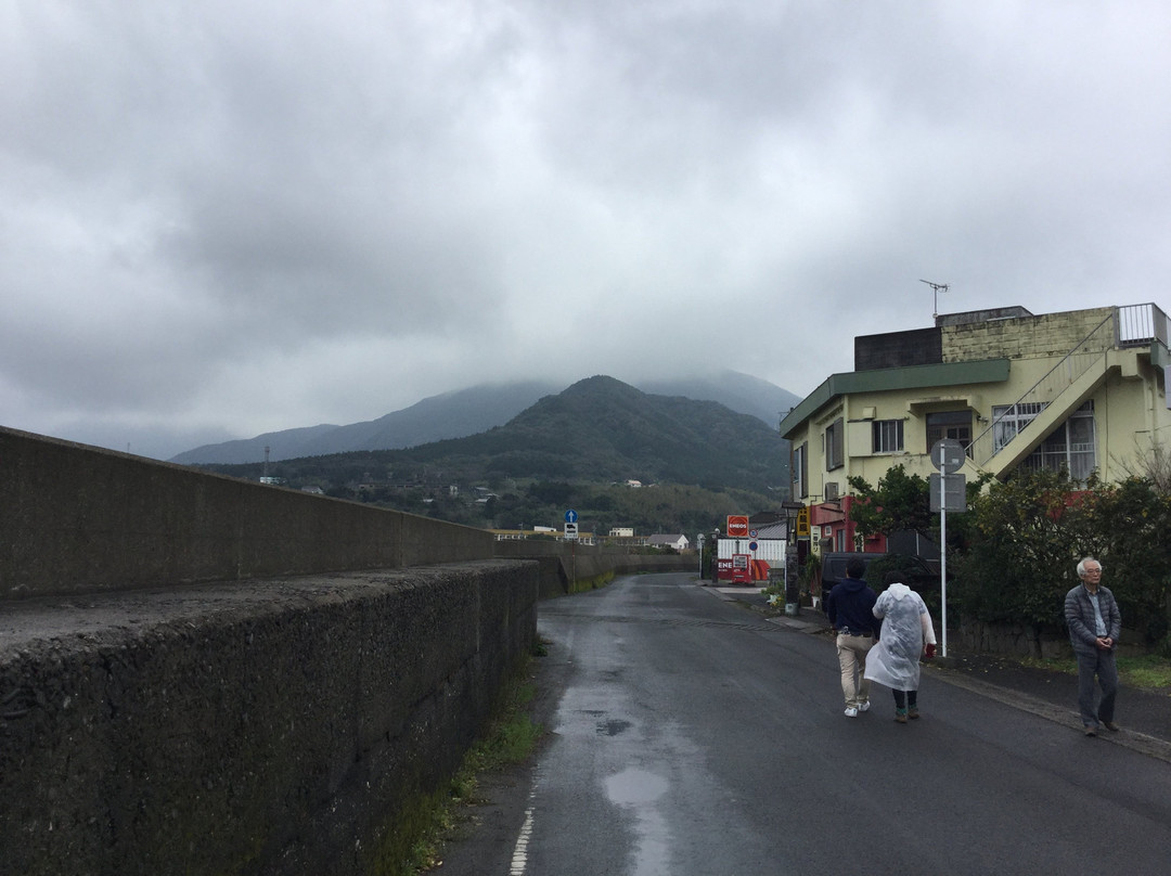 Port Miyanoura景点图片