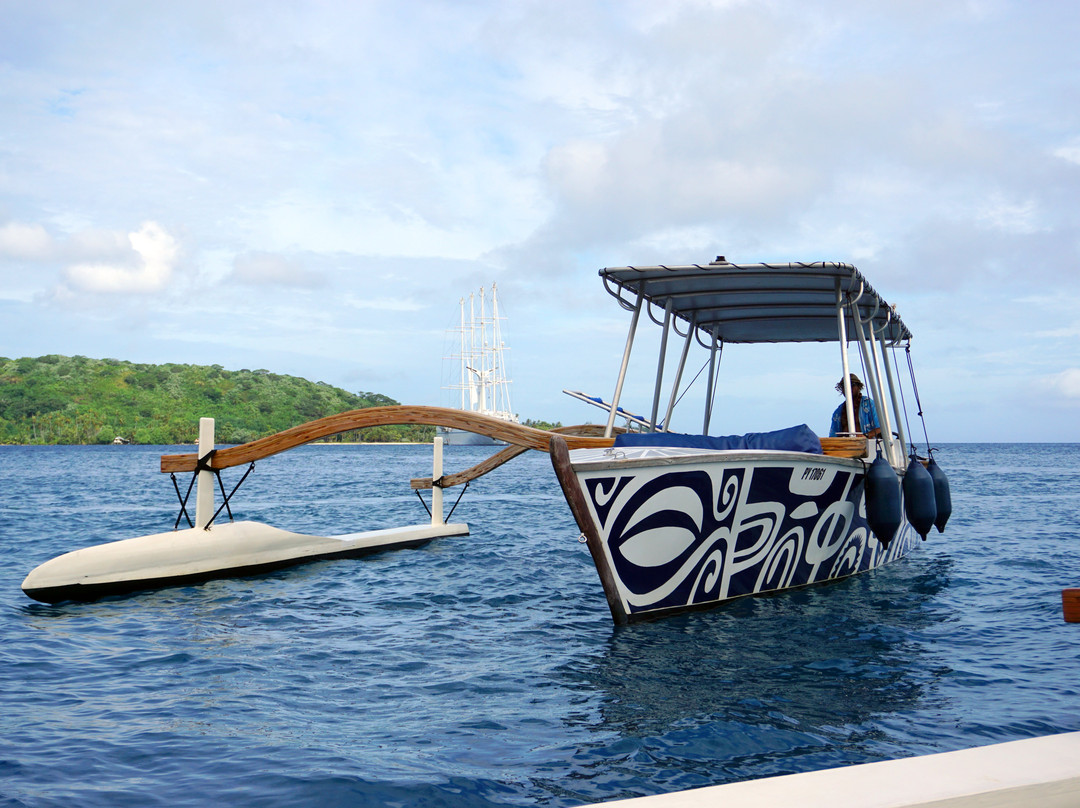 Coral Gardens-波拉波拉岛必去景点