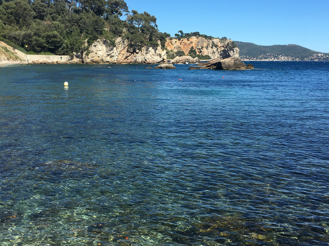 Plage de l'Anse de Magaud景点图片