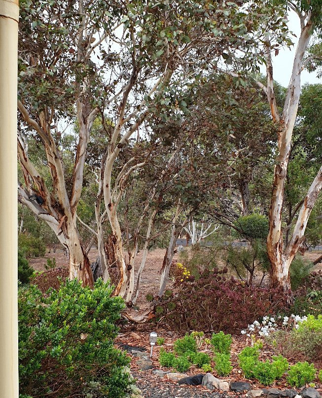 Austiny Bed and Breakfast Accommodation主图