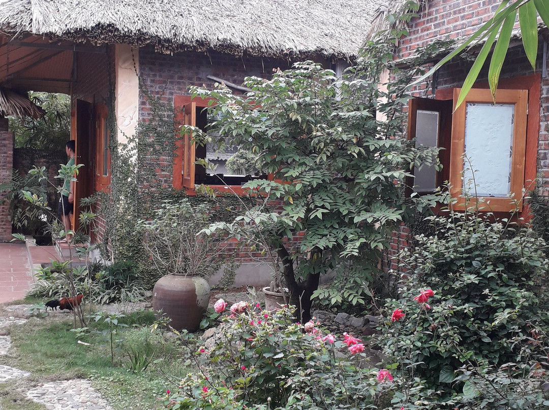 Ninh Binh Palm Homestay主图