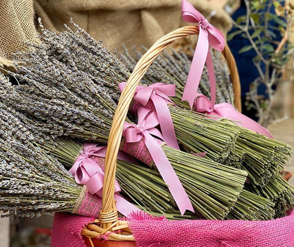 Subashi-地拉那必去景点