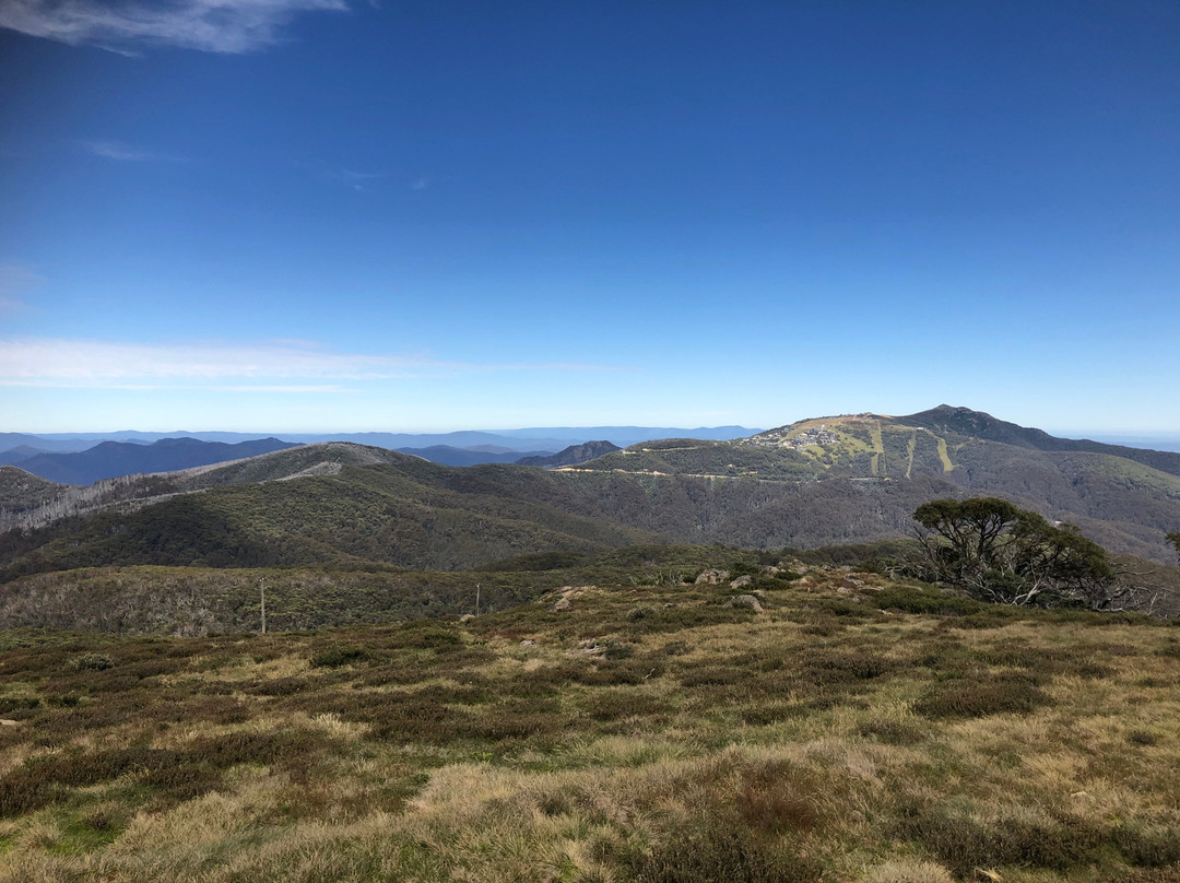 McCormack's Mountain Valley Trail Rides- Day Tours-Merrijig必去景点
