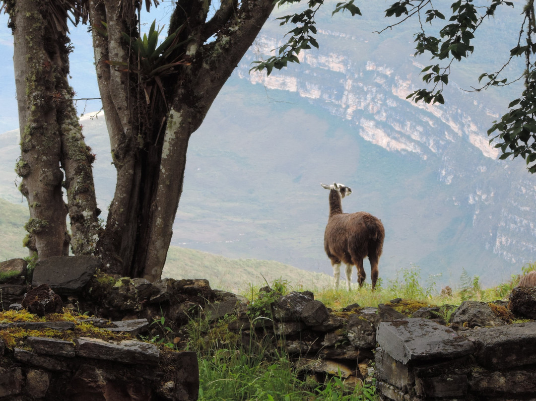 Fortaleza de Kuelap-Chachapoyas必去景点