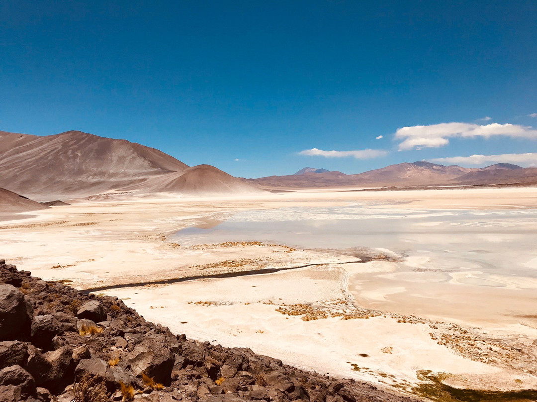 Laguna de Piedras景点图片