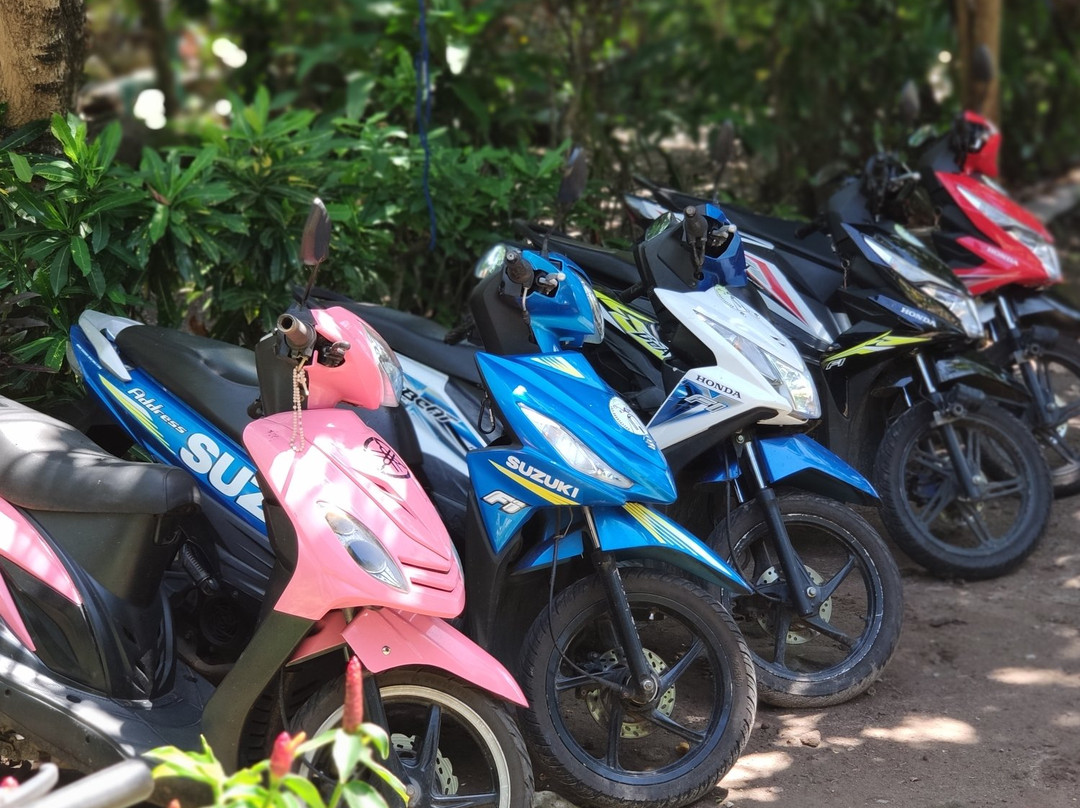 Camiguin Rent a Scooters-曼巴豪必去景点