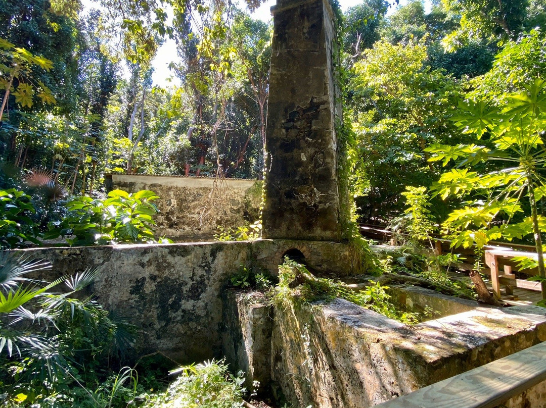 Cinnamon Bay Nature Trail-维尔京群岛国家公园必去景点