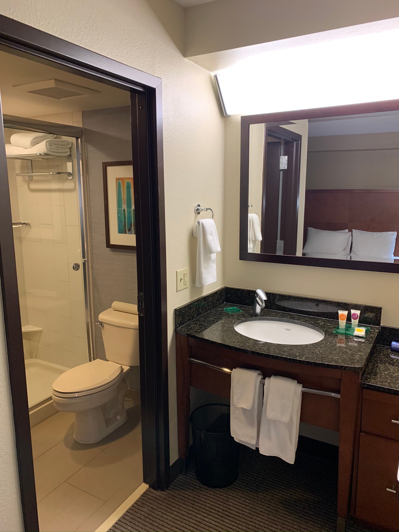 Hyatt Place Dallas/Las Colinas-浴室
