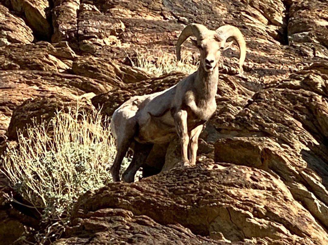 South Lykken Trail-棕榈泉市必去景点