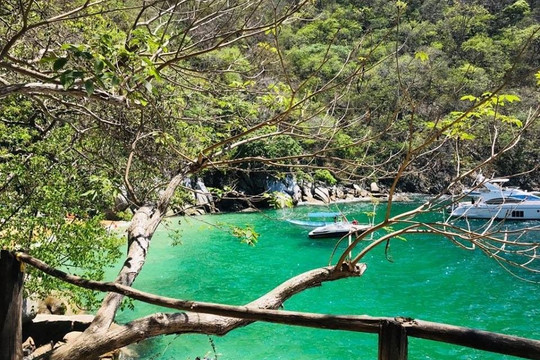 Pata Salada Tours-瓦拉塔港必去景点