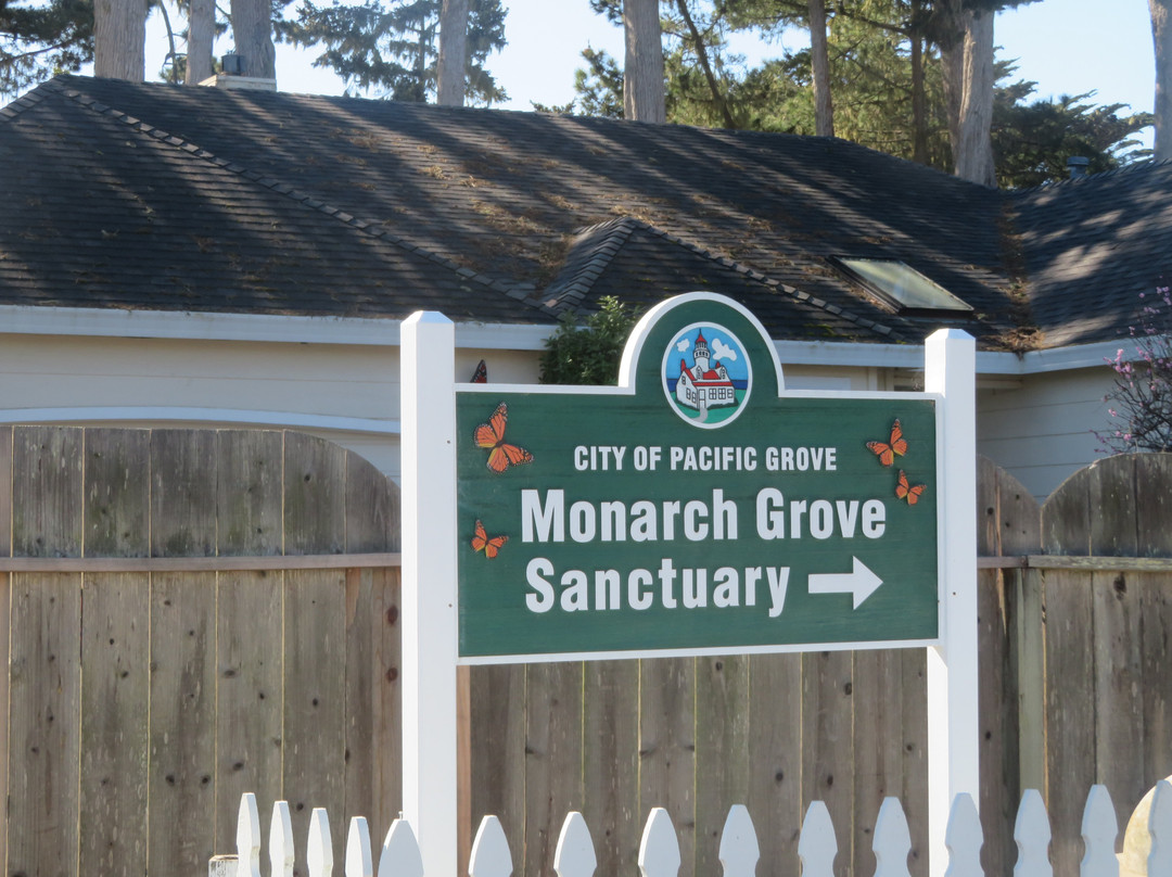 Monarch Grove Sanctuary-太平洋丛林镇必去景点