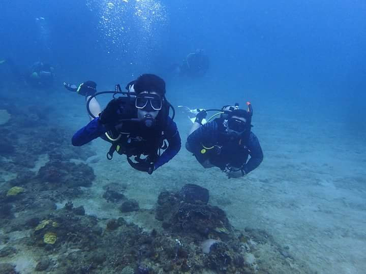 Panama Dive Adventure景点图片