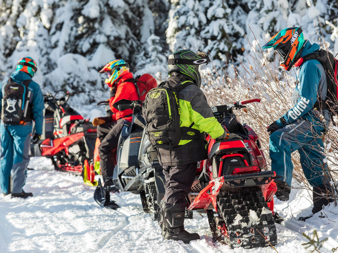 Golden Snowmobile Rentals & Tours景点图片