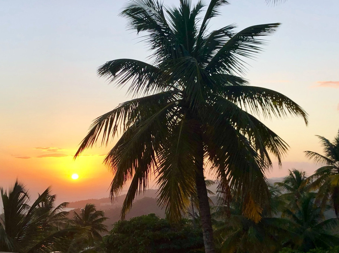 Hacienda Cocuyo主图