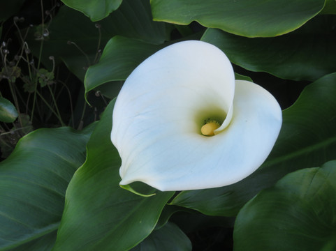 Dublin Heritage Park & Museums-都柏林必去景点