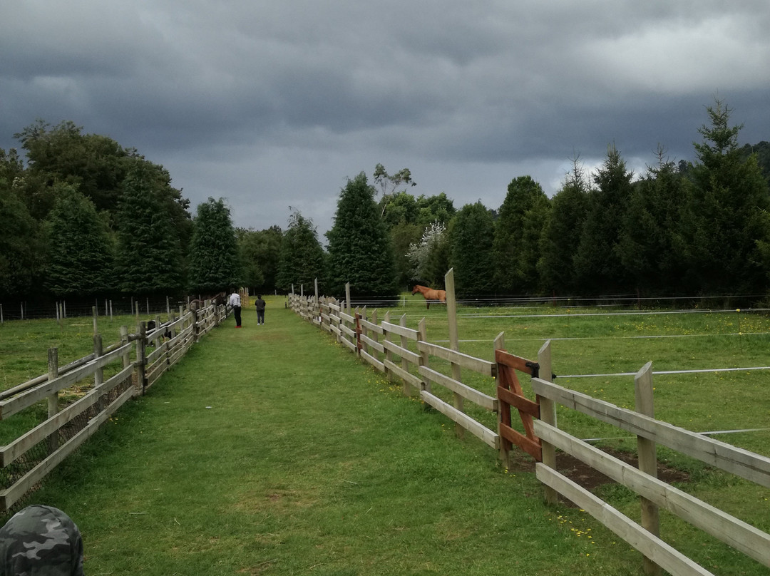 Granja Educativa Tierraviva-蒙特港必去景点