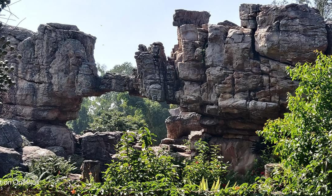 Silathoranam Garden景点图片