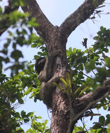 Panama Boat Tours-巴拿马城必去景点
