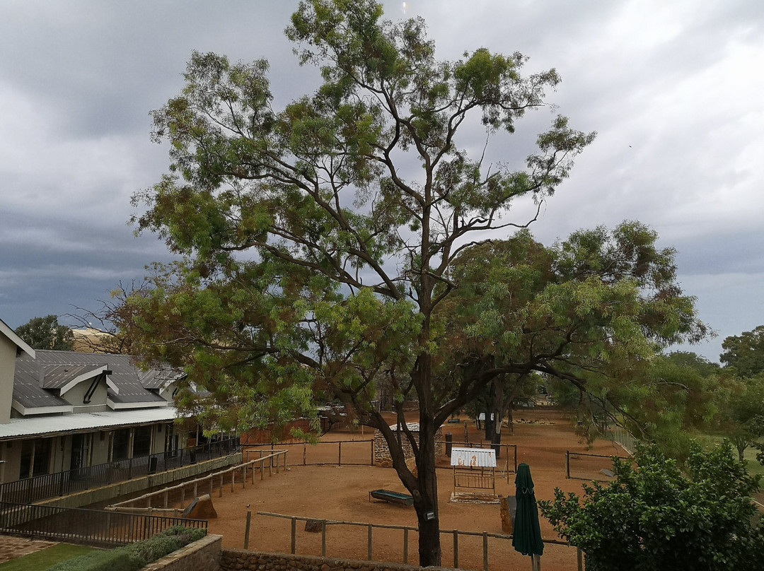 普罗梯亚威洛湖酒店主图