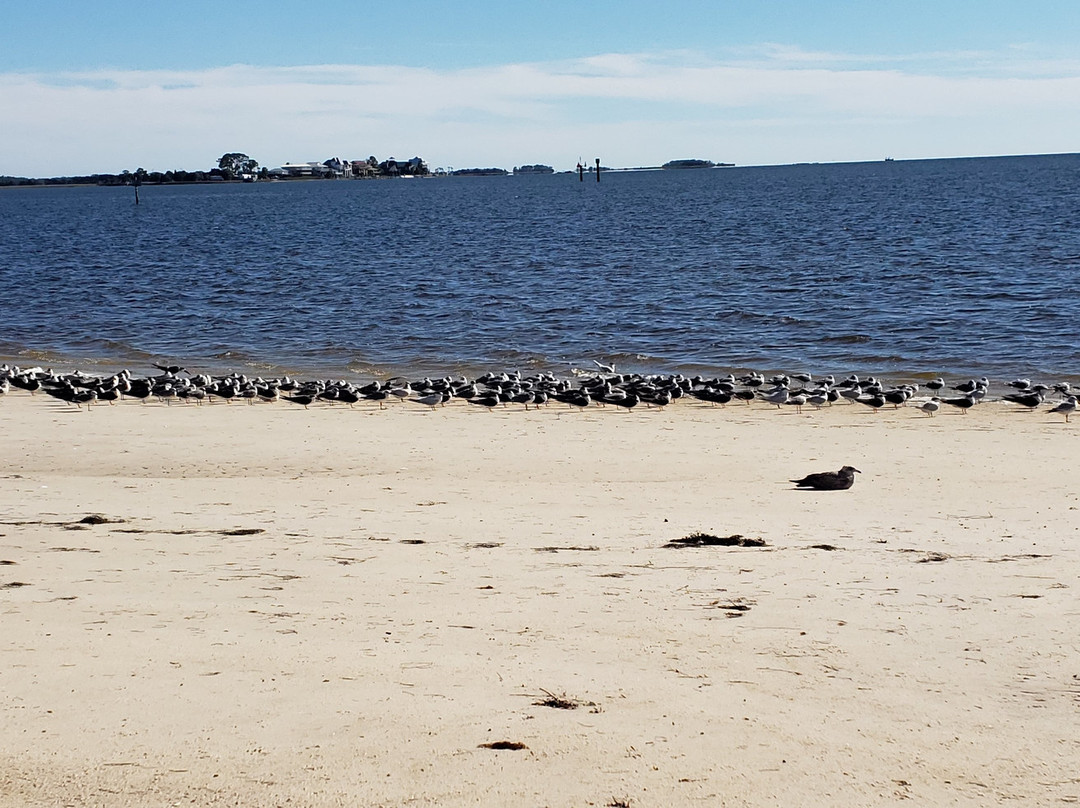 Keaton Beach-Perry必去景点