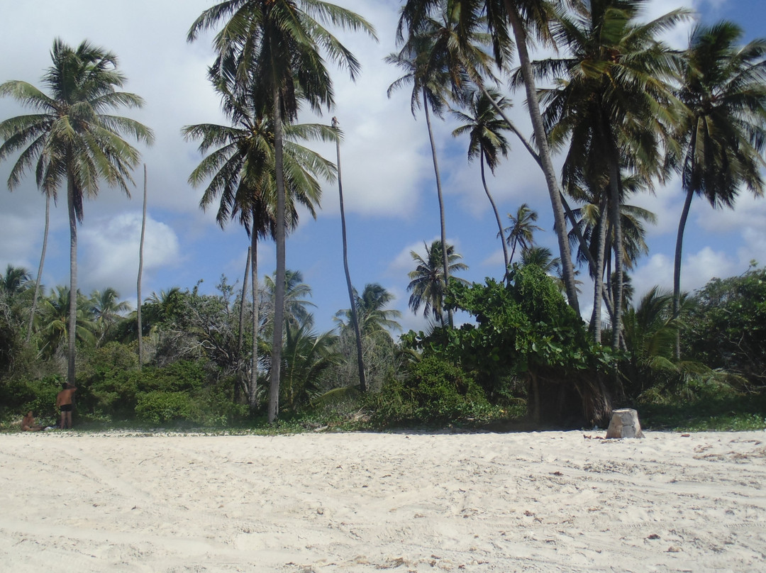 Jacuma Beach-Genipabu必去景点
