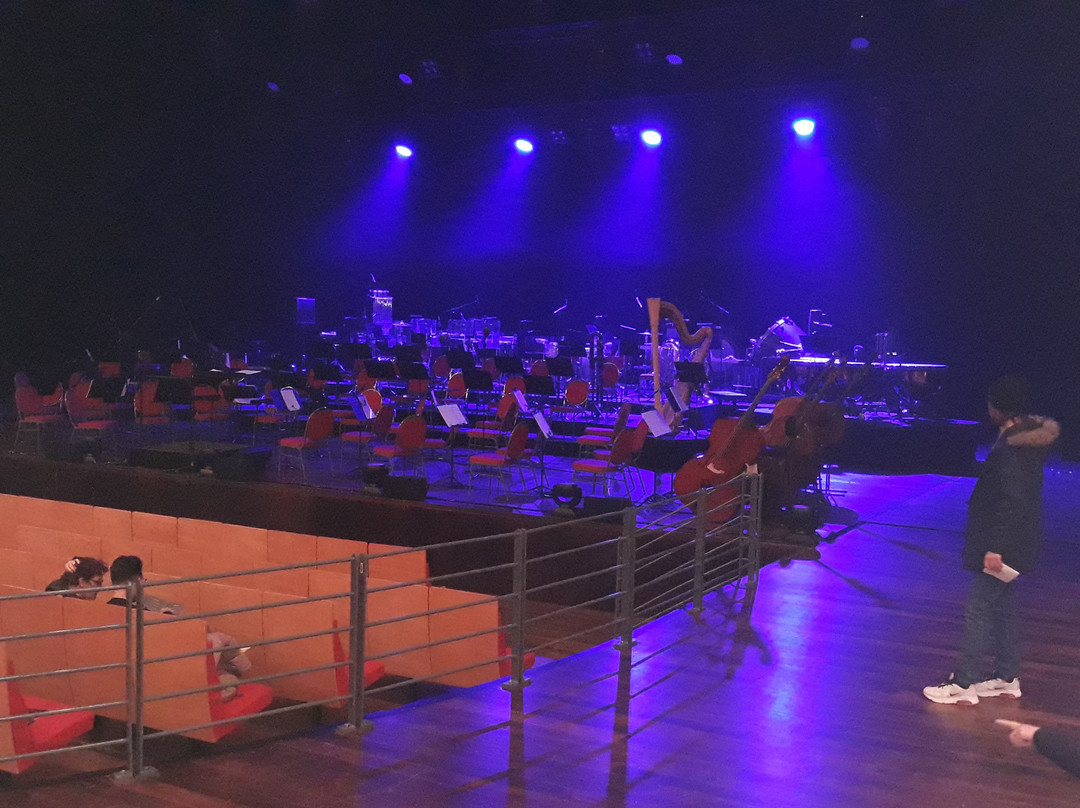 L'Amphithéâtre 3000-里昂必去景点