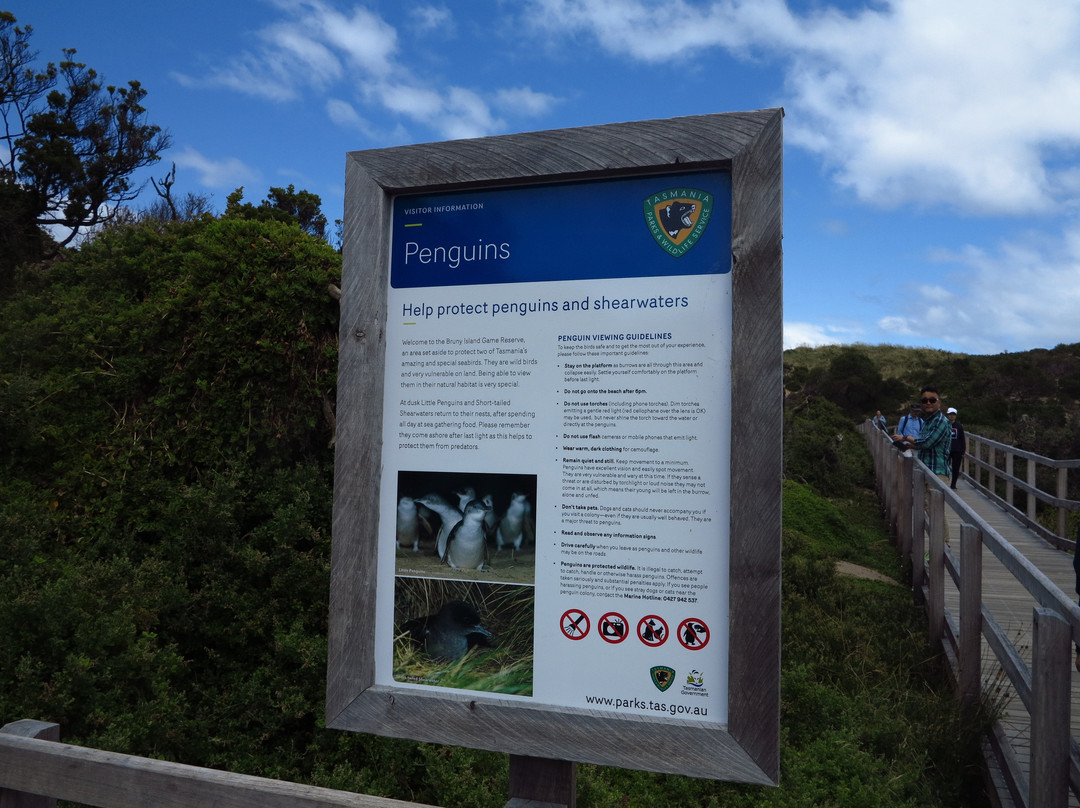 Bruny Island Neck Game Reserve景点图片