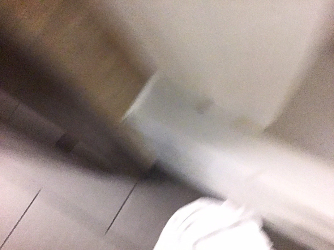 Best Western Plus University Inn & Suites主图