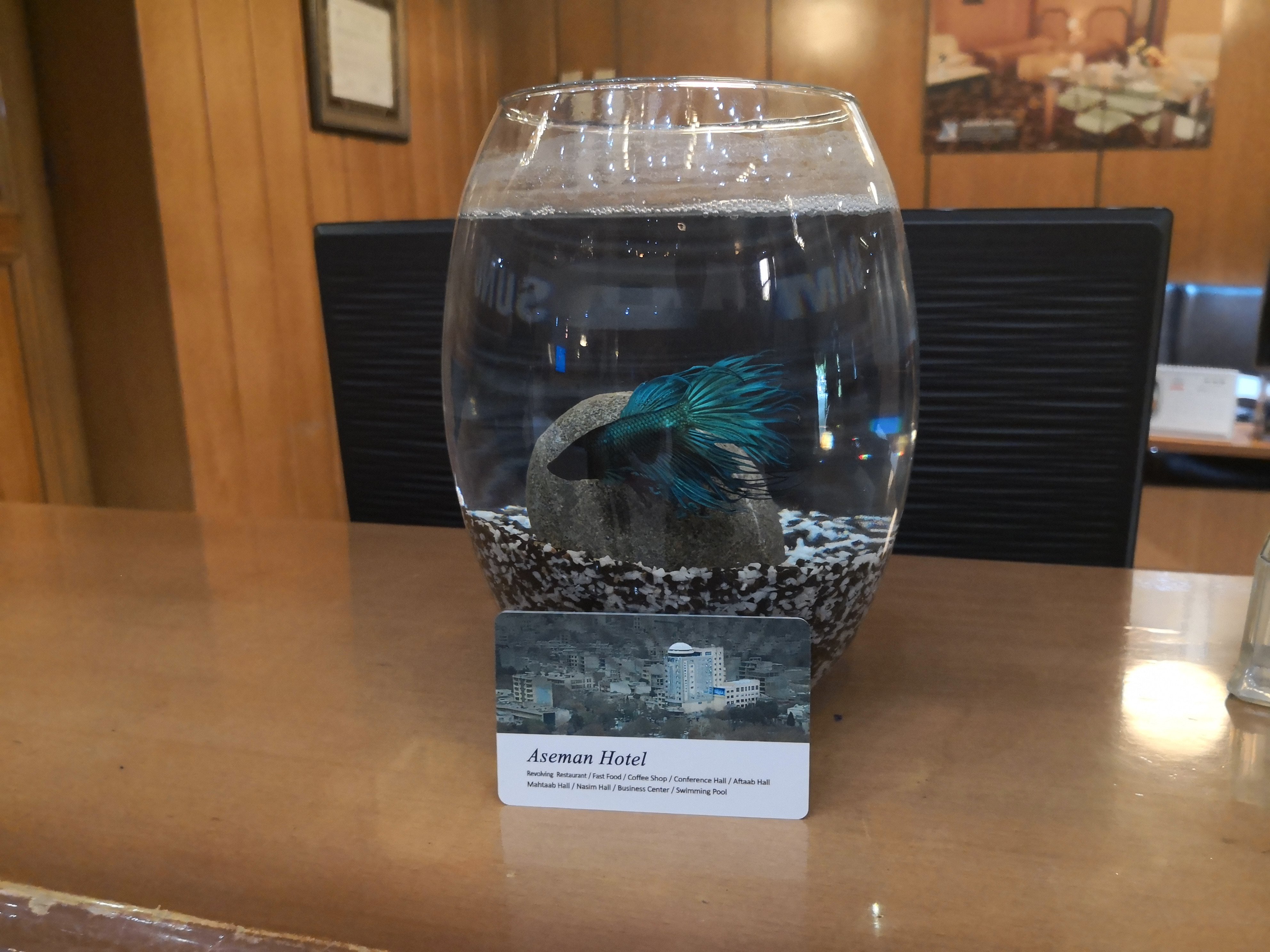 Aseman Hotel Isfahan-浴室