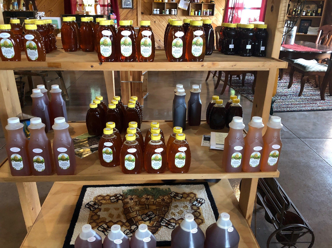 The Bee Barn-Zolfo Springs必去景点