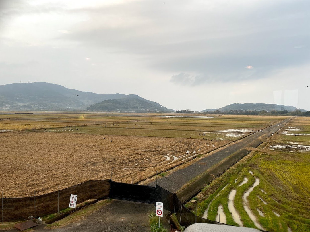 Izumi City Crane Center-出水市必去景点
