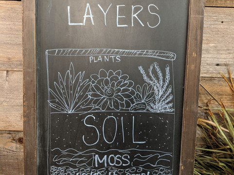 Petite Petal-坎贝尔必去景点