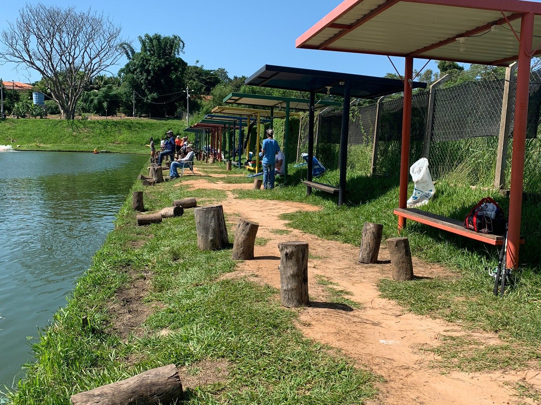Piscicultura E Pesqueiro Dinho Peixes-Presidente Prudente必去景点
