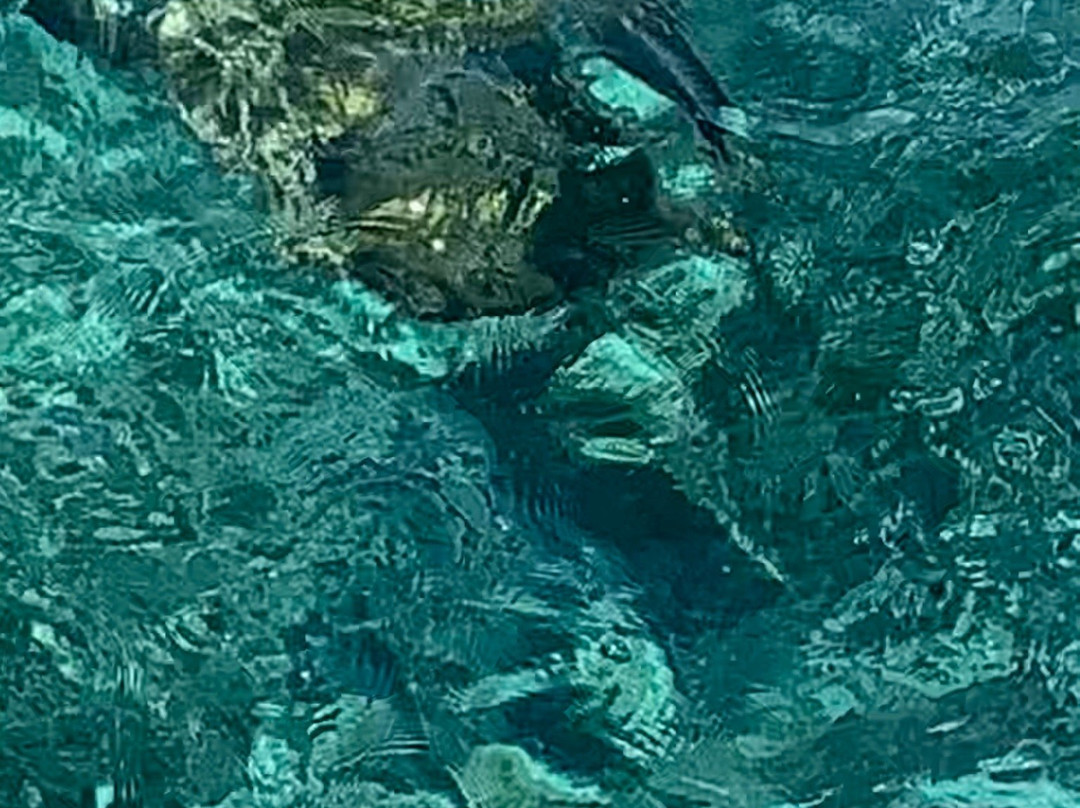 Ningaloo Marine Park-珊瑚湾必去景点