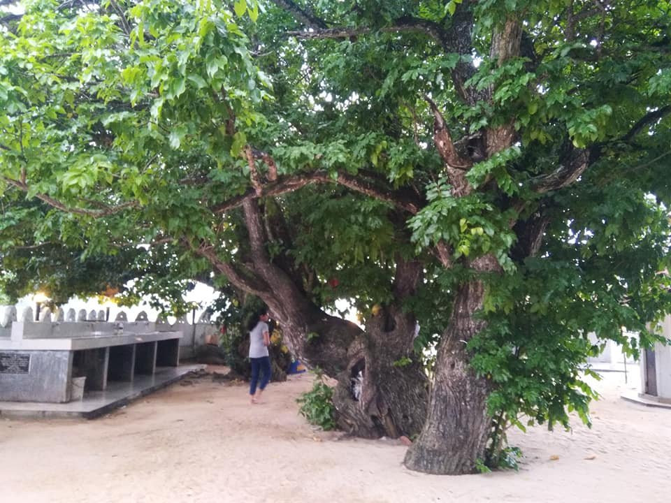 Unawatuna Devol Devalaya-乌纳瓦图纳必去景点