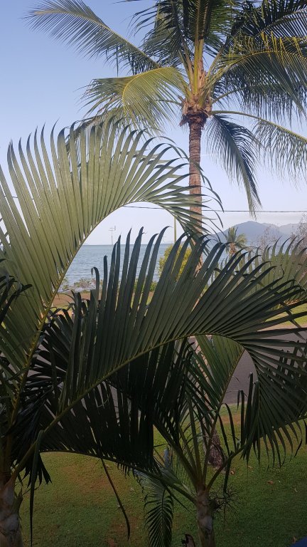 卡尔德维尔海滩克姆贝尔汽车旅馆和旅游公园-官方