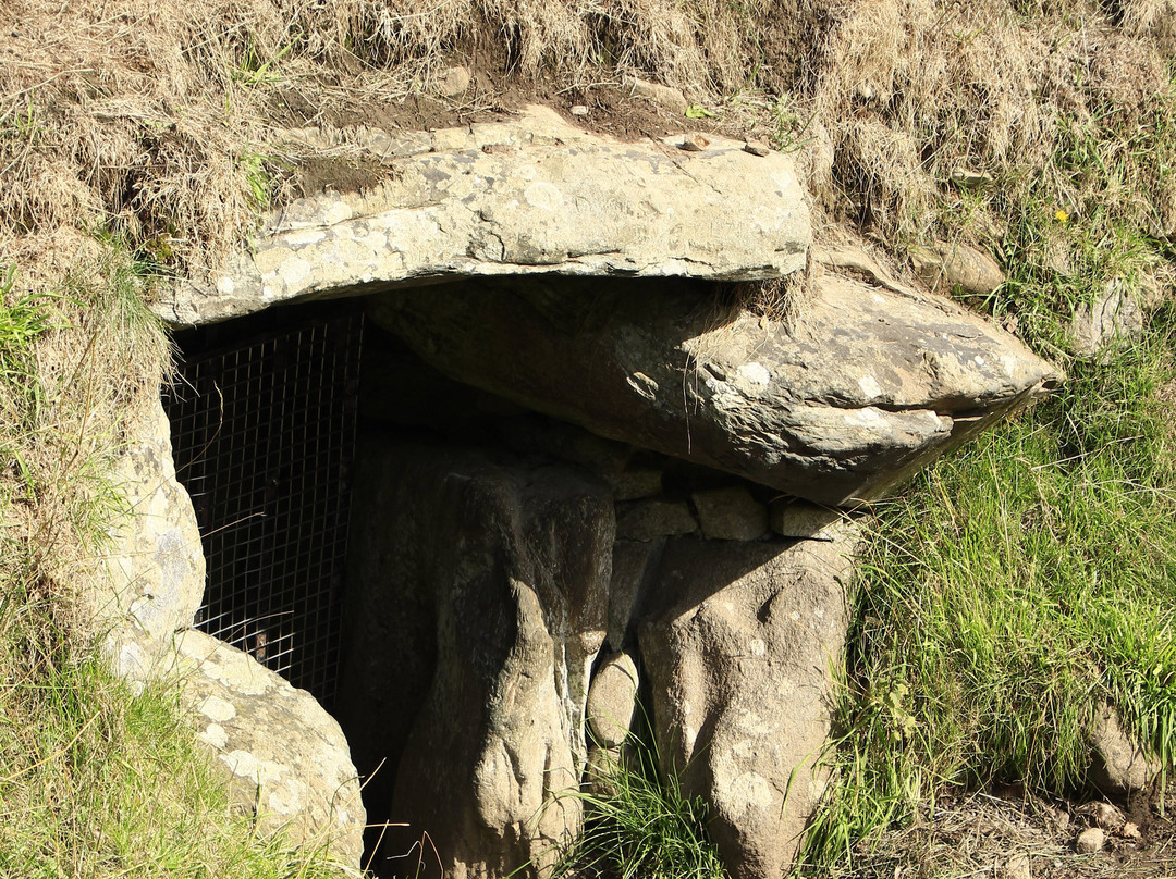 Newgrange-Donore必去景点