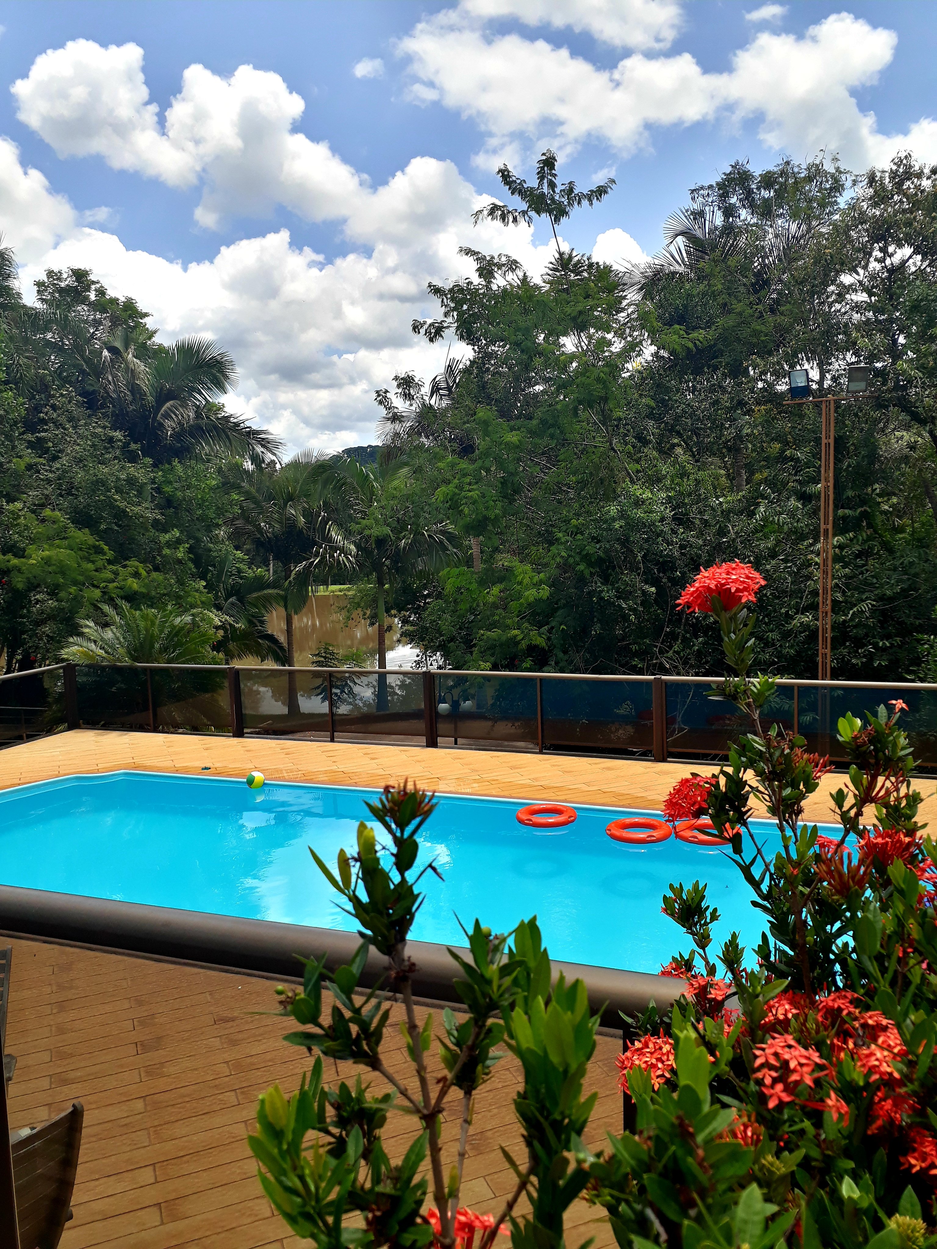 Paraiso Das Orquideas-官方