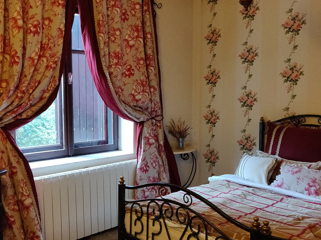 Villa Castelul Maria主图