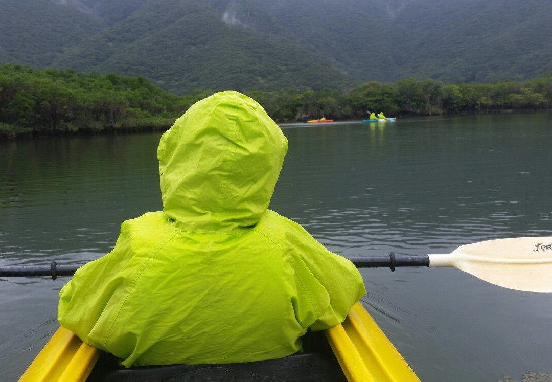 Kuroshio no Mori Mangrove Park-奄美市必去景点