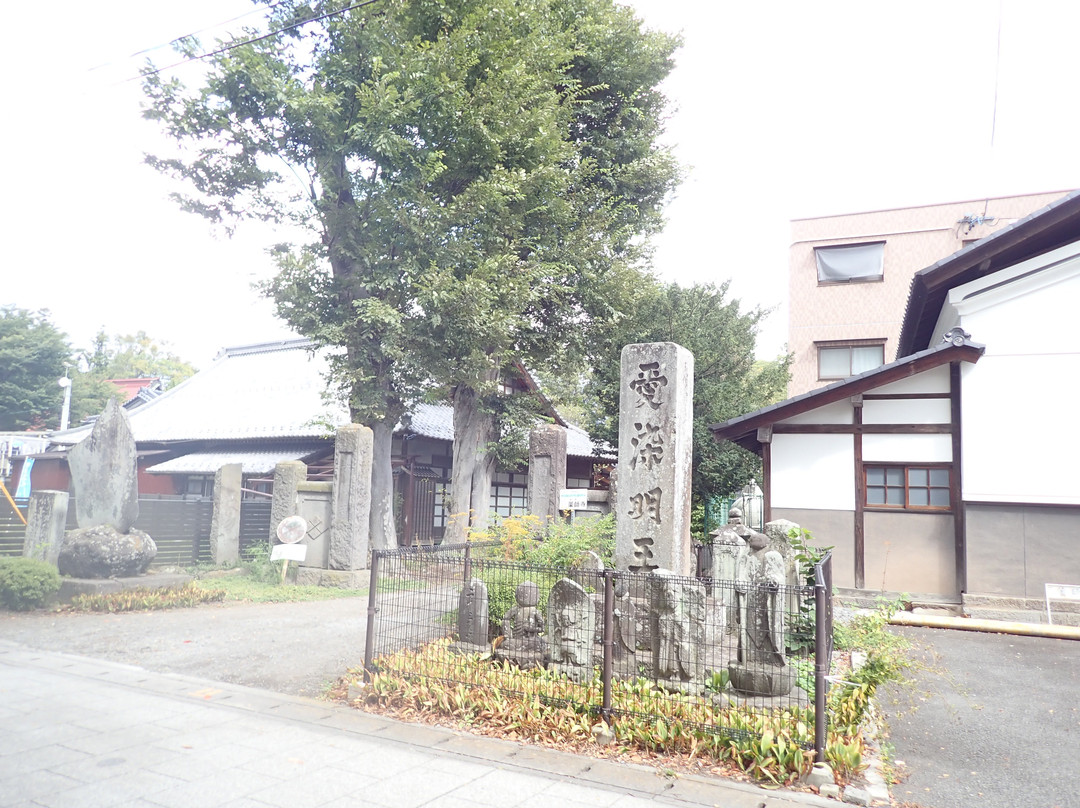 Nozawa Narita-san Yakushiji Temple景点图片